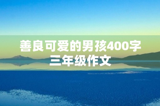 善良可爱的男孩400字三年级作文