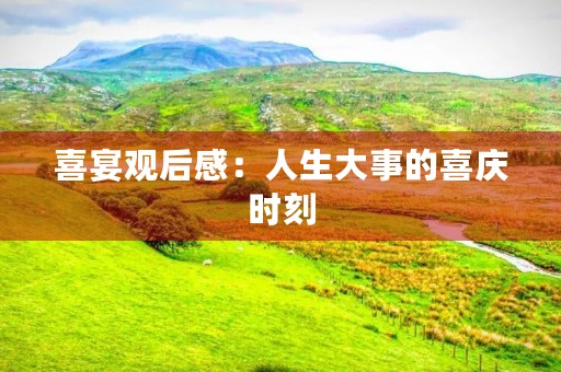喜宴观后感：人生大事的喜庆时刻