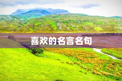喜欢的名言名句(小学生喜欢的名言名句)