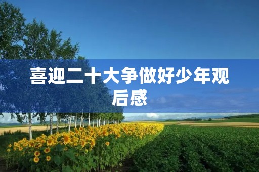 喜迎二十大争做好少年观后感 喜迎二十大争做好少年观后感