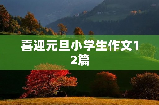 喜迎元旦小学生作文12篇 喜迎元旦小学生作文12篇