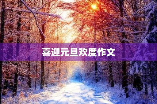 喜迎元旦欢度作文