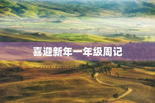 喜迎新年一年级周记