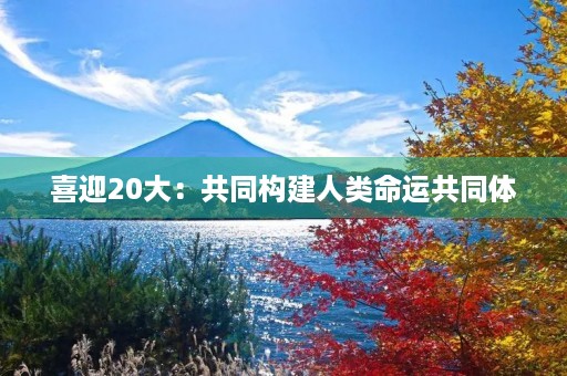 喜迎20大：共同构建人类命运共同体