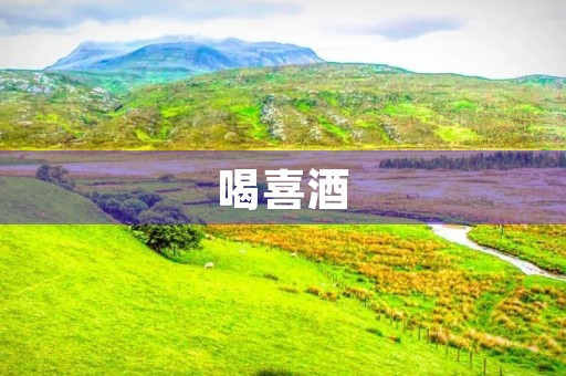 喝喜酒