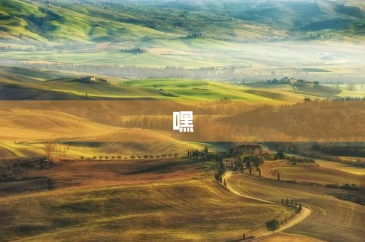 嘿,我是一朵勤快的云300字三年级作文 嘿,我是一朵勤快的云300字三年级作文