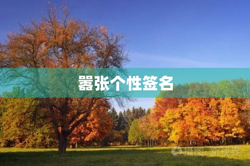 嚣张个性签名,简短干净的签名 嚣张个性签名,简短干净的签名