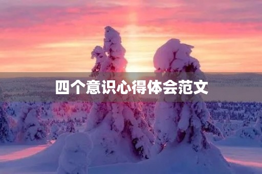 四个意识心得体会范文