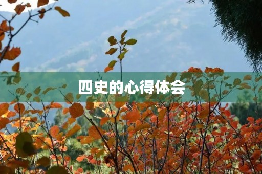 四史的心得体会