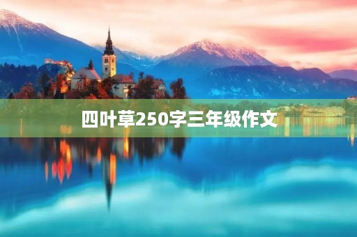 四叶草250字三年级作文