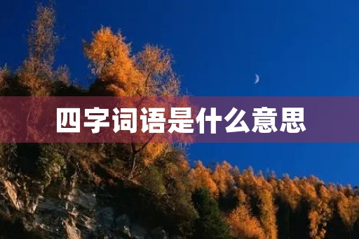 四字词语是什么意思 四字词语是什么意思