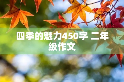 四季的魅力450字 二年级作文