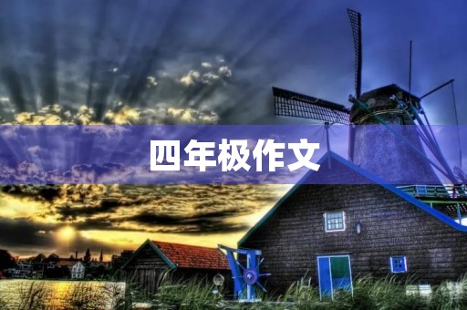 四年极作文，我的成长与收获