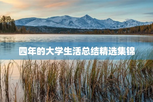四年的大学生活总结精选集锦