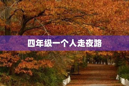 四年级一个人走夜路