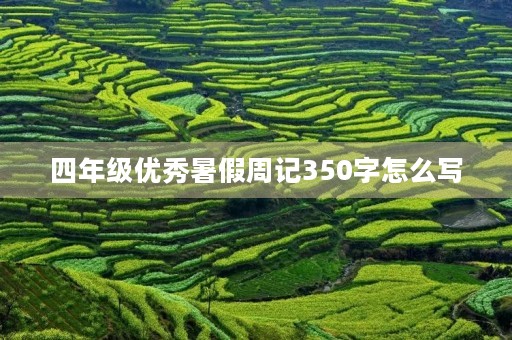 四年级优秀暑假周记350字怎么写 四年级优秀暑假周记350字怎么写