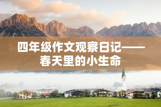 四年级作文观察日记——春天里的小生命 四年级作文观察日记——春天里的小生命