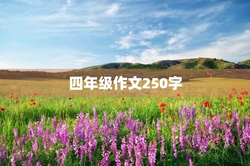 四年级作文250字