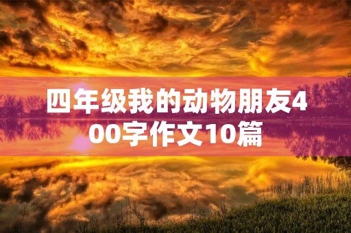 四年级我的动物朋友400字作文10篇