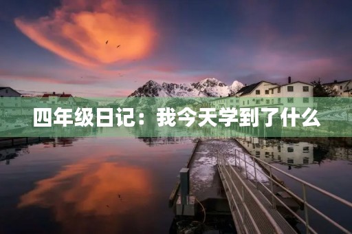 四年级日记：我今天学到了什么