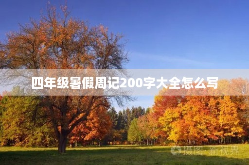 四年级暑假周记200字大全怎么写 四年级暑假周记200字大全怎么写