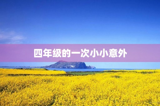 四年级的一次小小意外 四年级的一次小小意外