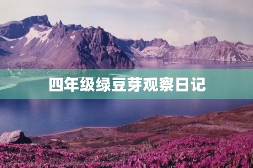 四年级绿豆芽观察日记 四年级绿豆芽观察日记