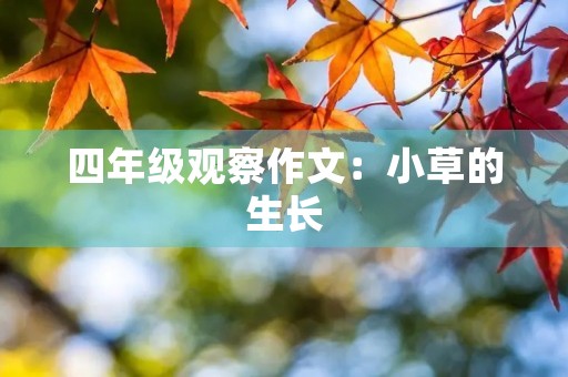 四年级观察作文：小草的生长