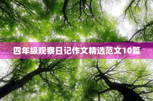 四年级观察日记作文精选范文10篇