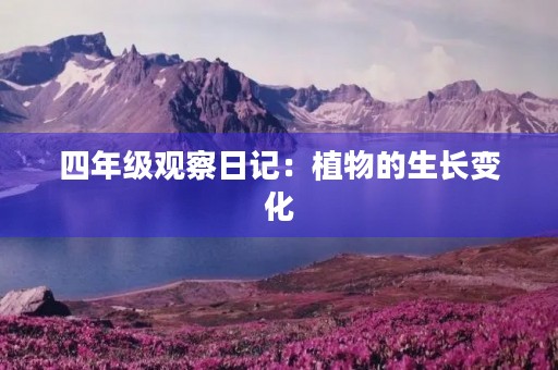 四年级观察日记:植物的生长变化 四年级观察日记:植物的生长变化