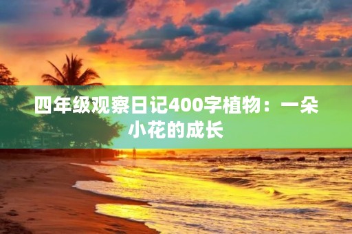 四年级观察日记400字植物:一朵小花的成长 四年级观察日记400字植物:一朵小花的成长