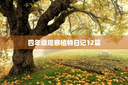 四年级观察植物日记12篇 四年级观察植物日记12篇