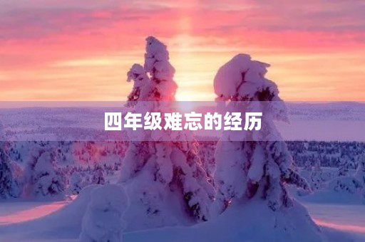 四年级难忘的经历