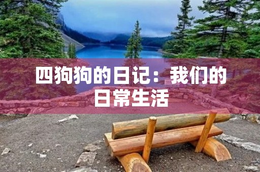 四狗狗的日记:我们的日常生活 四狗狗的日记:我们的日常生活