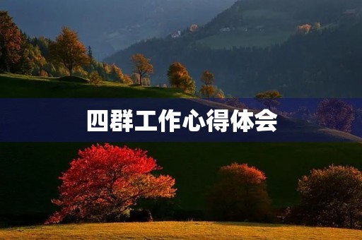 四群工作心得体会