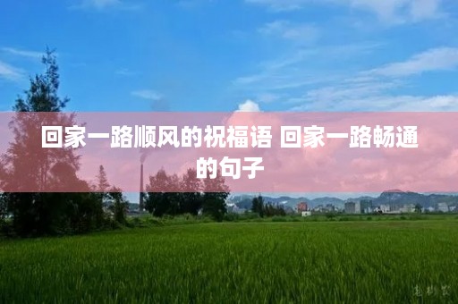回家一路顺风的祝福语 回家一路畅通的句子