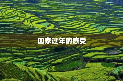 回家过年的感受