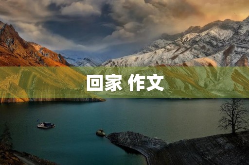 回家 作文