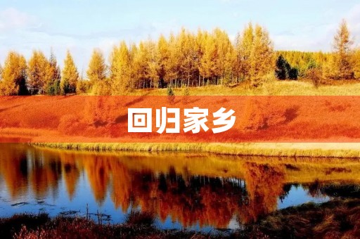 回归家乡，感受新变化