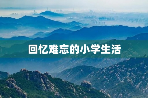 回忆难忘的小学生活