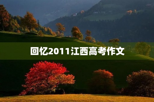 回忆2011江西高考作文