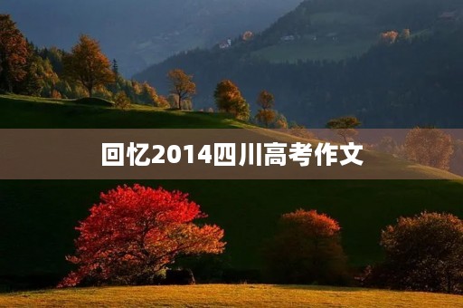 回忆2014四川高考作文