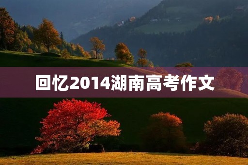 回忆2014湖南高考作文