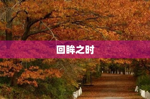 回眸之时，我看见了过去与未来。——回眸作文
