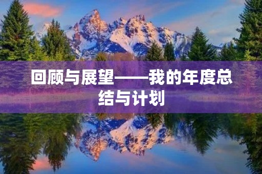 回顾与展望——我的年度总结与计划