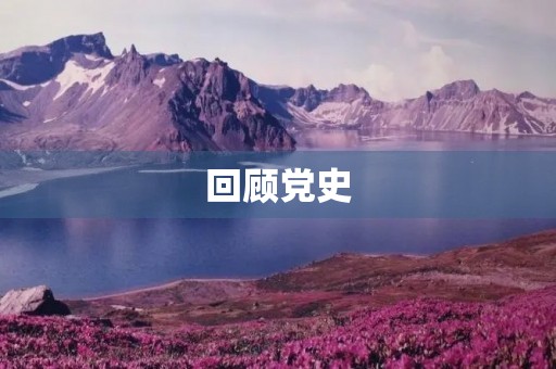 回顾党史，深化思考，感悟良多