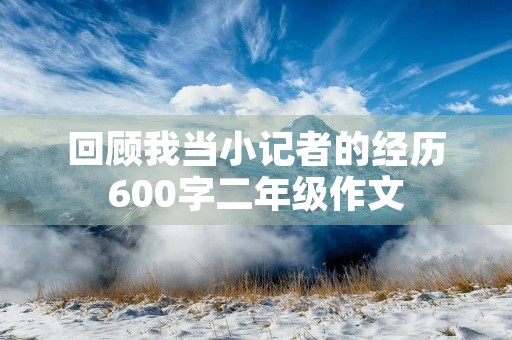 回顾我当小记者的经历600字二年级作文
