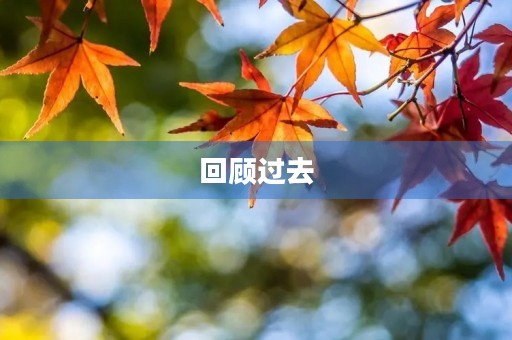 回顾过去，迎接未来——个人年终总结