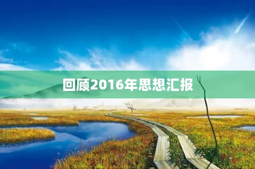 回顾2016年思想汇报