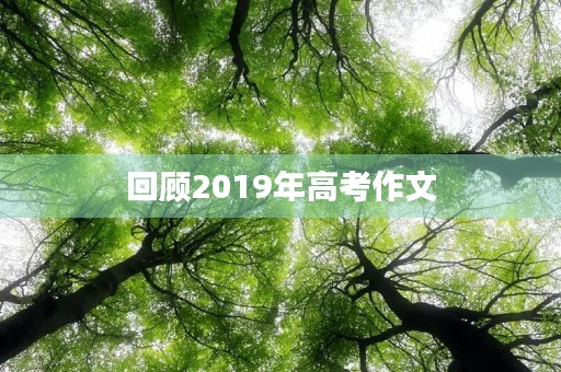 回顾2019年高考作文